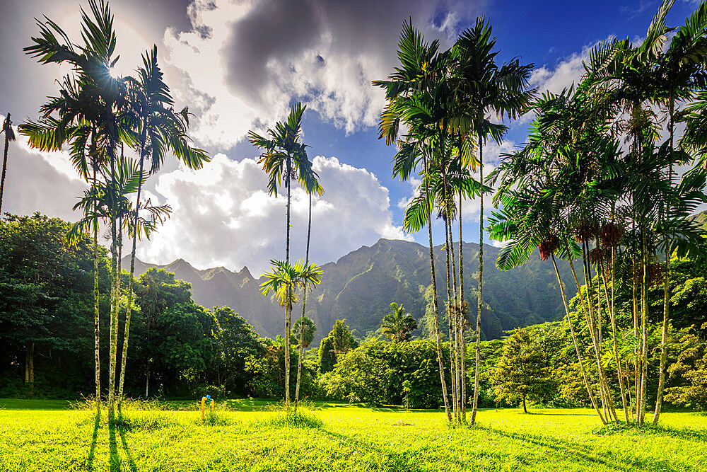 Ho'omaluhia Botanical Garden, Oahu Island, Hawaii, United States of America, North America