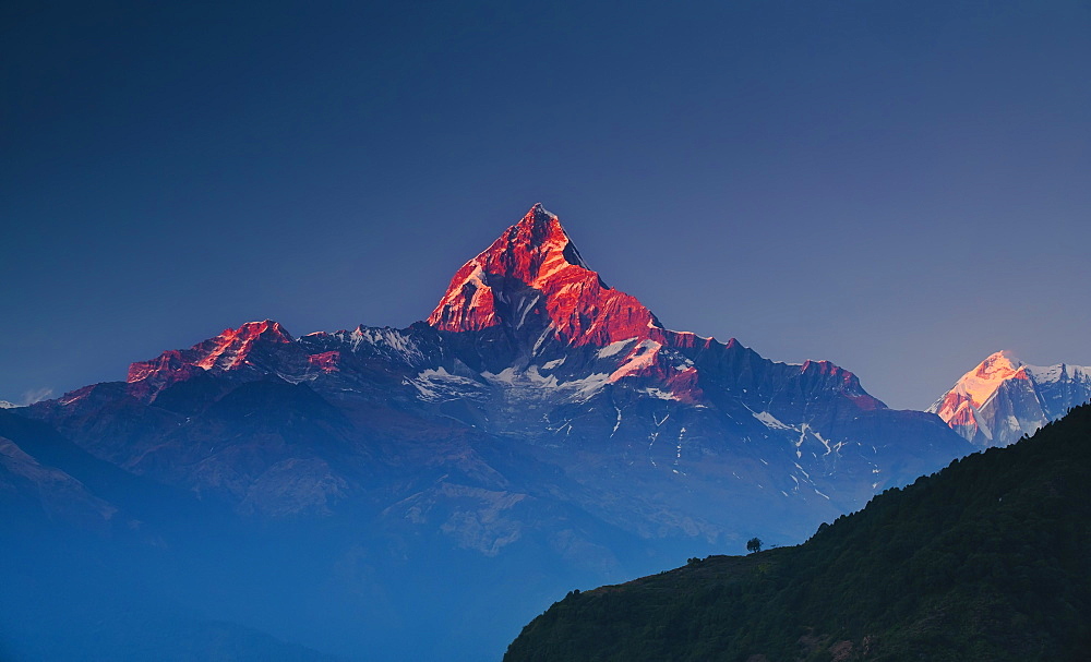 Machapuchare (Machhapuchhre) (Fish Tail) mountain, in the Annapurna Himal of north central Nepal, Nepal, Himalayas, Asia