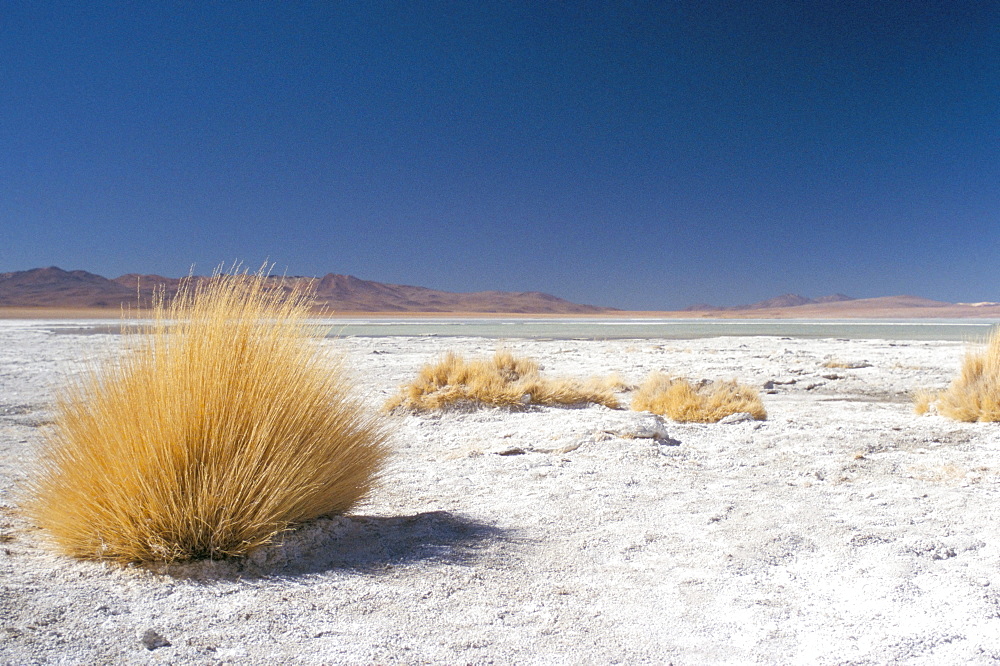 Laguna Verde, Salar de Uyuni, Bolivia, South America