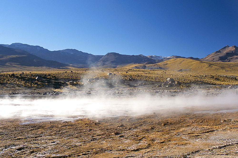 Geysers at Sol de Manana, Salar de Uyuni, Bolivia, South America