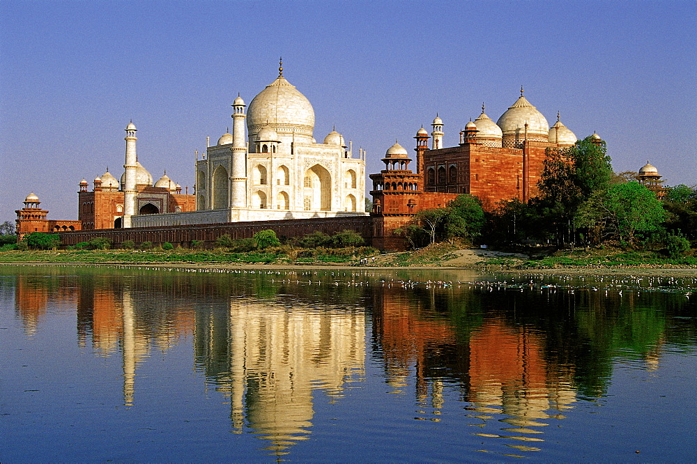 Taj Mahal, Agra, India