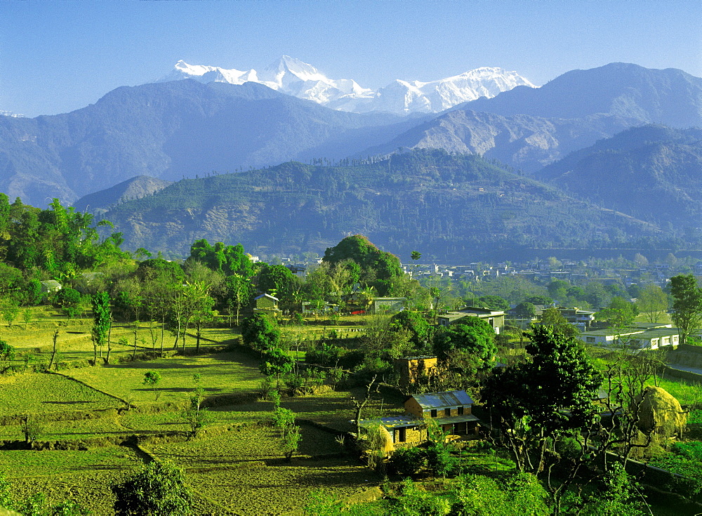 Mountain village with  rice fields, Nepal