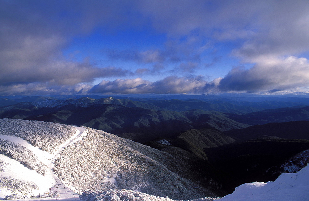 Landscape of snow-covered snow gums, mountainsand clouds, seen from Mount Buller, High Country, Victoria, Australia, Pacific