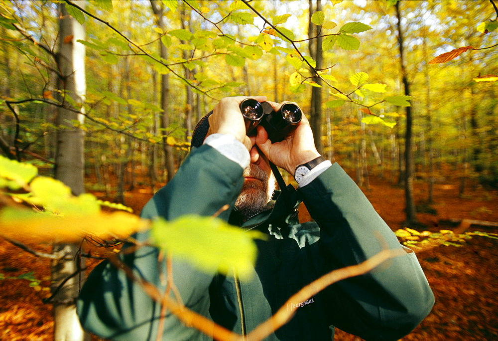 Birder in woodland in autumn, United Kingdom, Europe