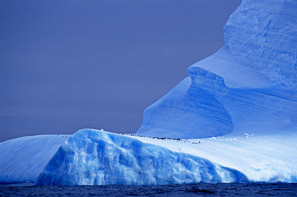 Chinstrap penguins on blue iceberg, Antarctica, Polar Regions