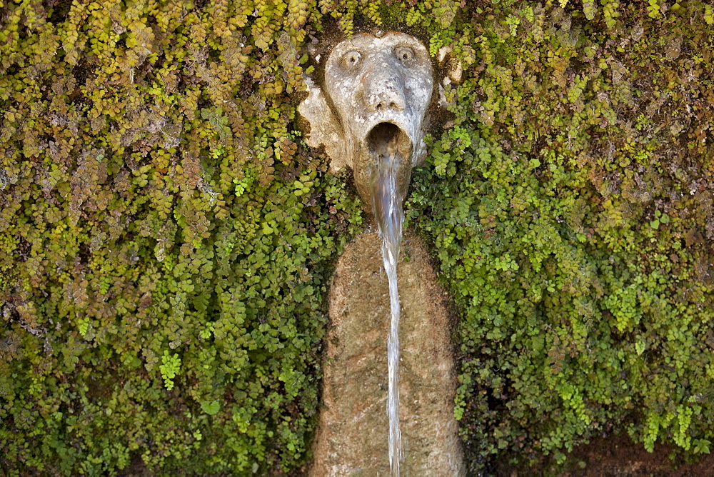 Detail of the fountain of the 100 faces in Villa D'Este, Tivoli, Lazio, Italy, Europe