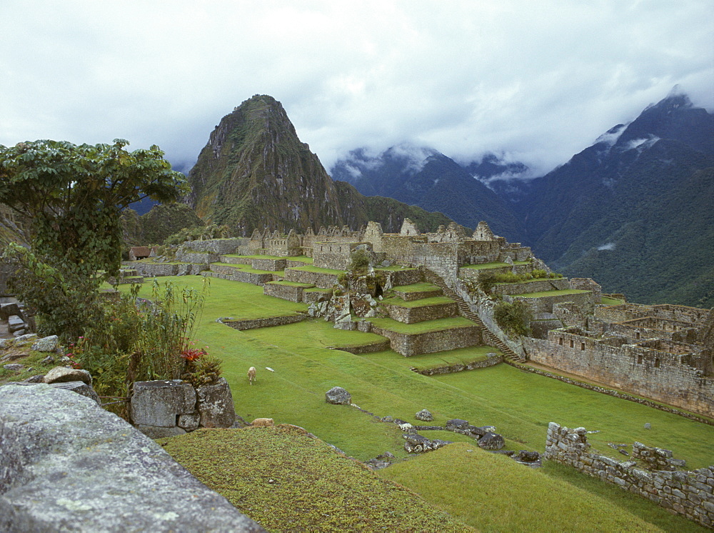 Inca archaeological site of Machu Picchu, UNESCO World Heritage Site, Peru, South America