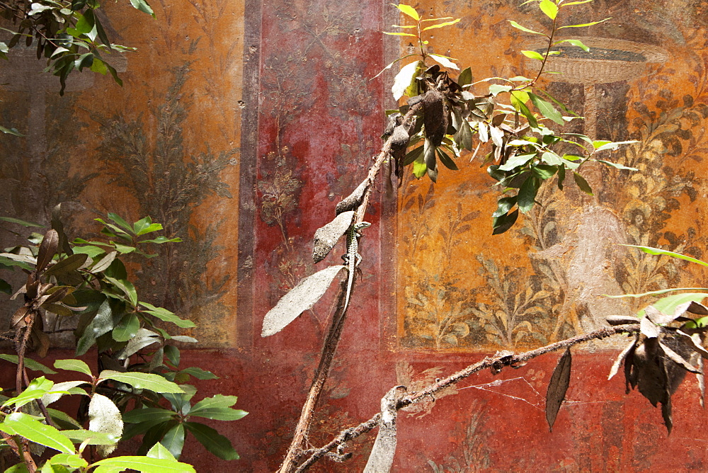 Fresco in the garden at the Poppea Villa (Villa Poppaea), Oplontis, UNESCO World Heritage Site, Campania, Italy, Europe