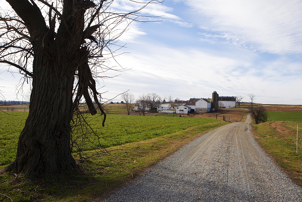 An Amish Farm, Pennsylvania, United States of America, North America