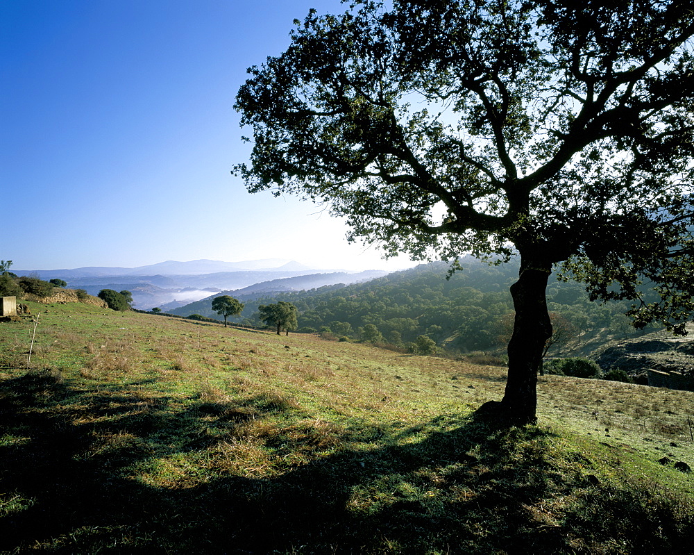 Landscape, Barbagia, island of Sardinia, Italy, Europe