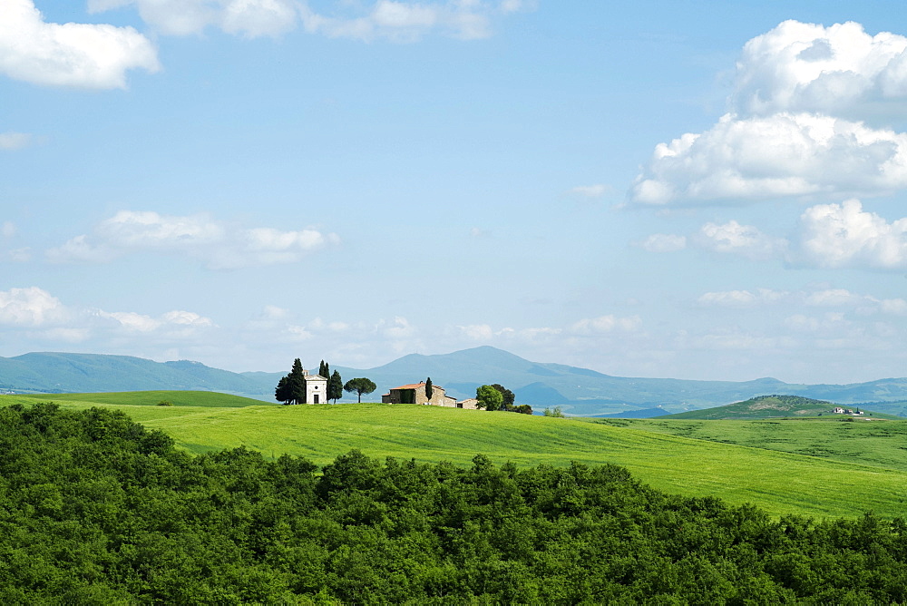 The Chapel of Our Lady of Vitaleta, Val D'Orcia, UNESCO World Heritage Site, Tuscany, Italy, Europe