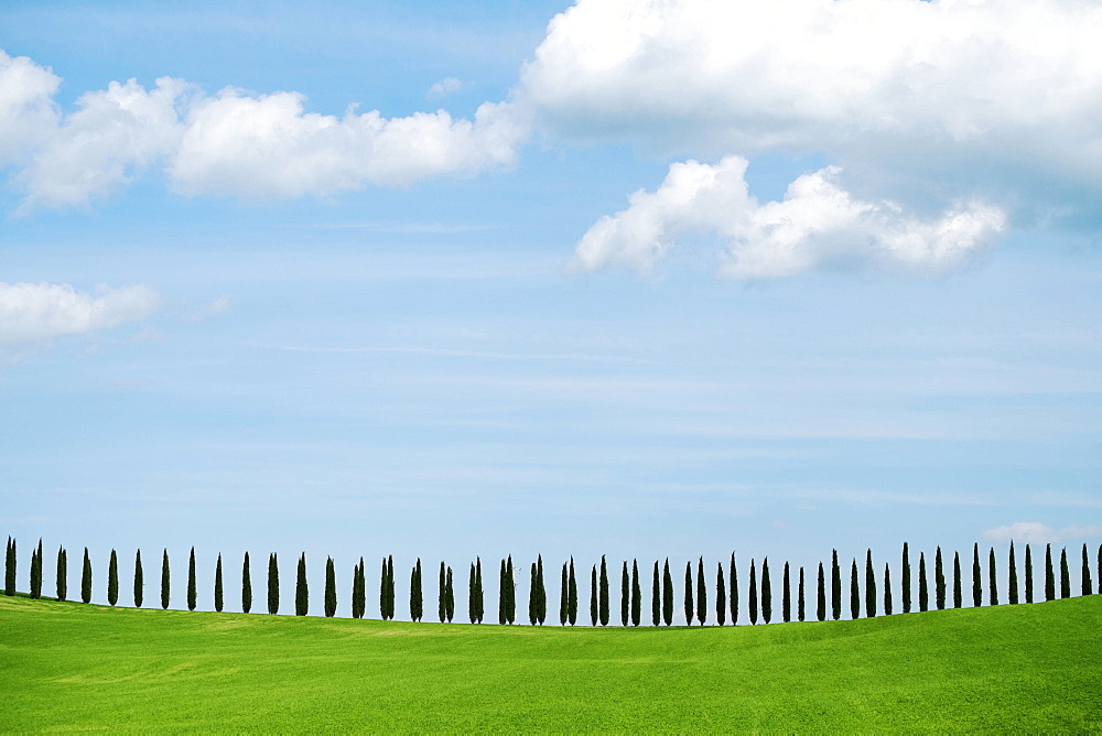 Val D'Orcia, UNESCO World Heritage Site, Tuscany, Italy, Europe