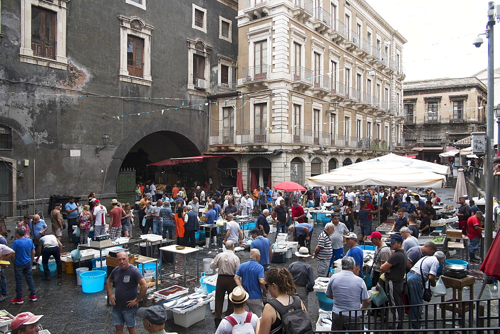 The fish market, Catania, Sicily, Italy, Europe