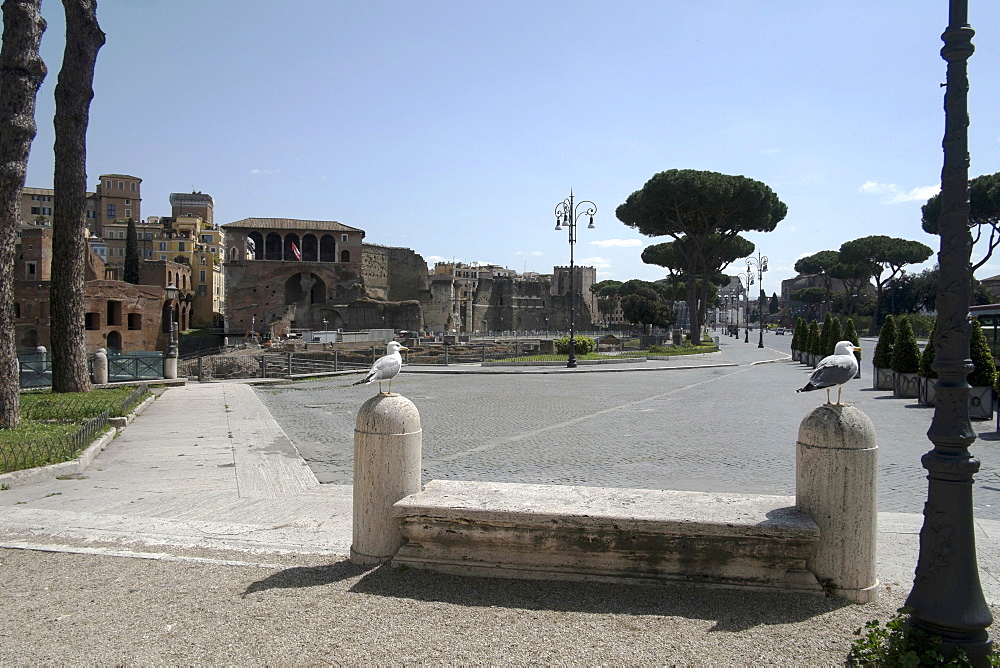 Imperial Forum Avenue, deserted due to the 2020 Covid-19 lockdown restrictions, Rome, Lazio, Italy, Europe