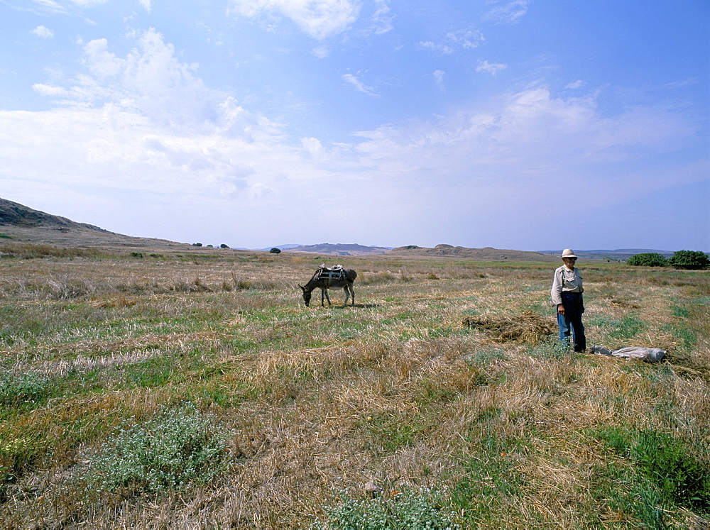 Limnos (Lemnos), Aegean Islands, Greek Islands, Greece, Europe