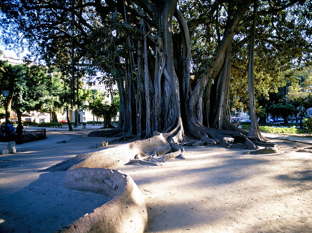 Piazza Marina, Palermo, island of Sicily, Italy, Mediterranean, Europe