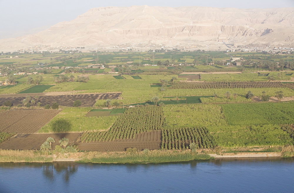 View of the side of the River Nile with the Temple of Deir El Bahari in the background, Thebes, Egypt, North Africa, Africa