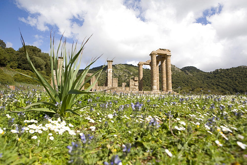 The Punic temple of Antas, Sardinia, Italy, Europe