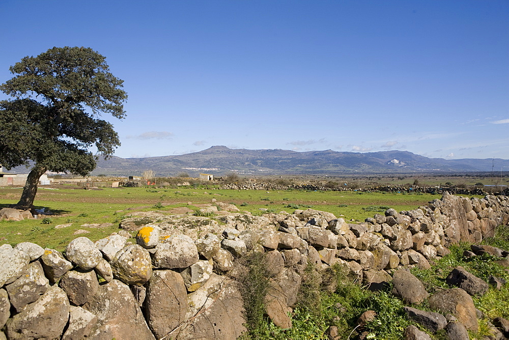 Abbasanta high plateau, Sardinia, Italy, Europe