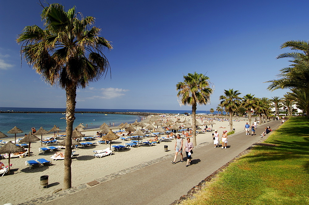 Playa de las Americas, Tenerife, Canary Islands, Spain, Atlantic, Europe