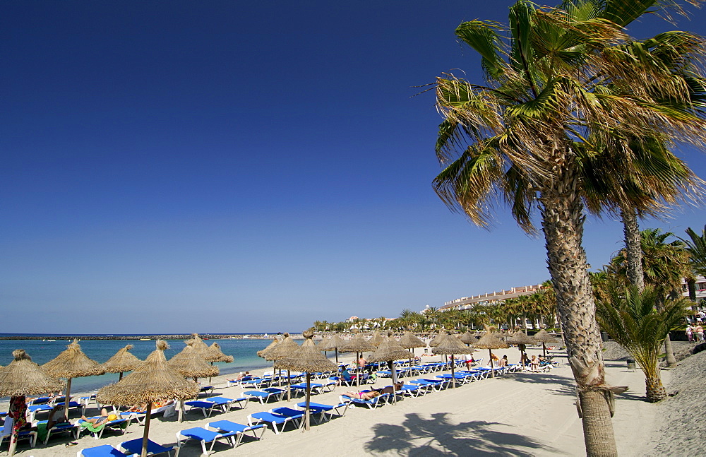 Playa de las Americas, Tenerife, Canary Islands, Spain, Atlantic, Europe