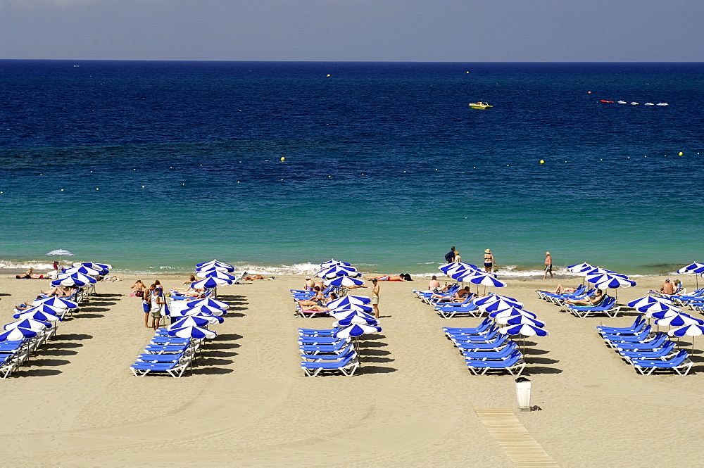 Playa de las Americas, Tenerife, Canary Islands, Spain, Atlantic, Europe