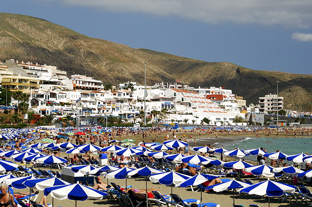 Playa de las Americas, Tenerife, Canary Islands, Spain, Atlantic, Europe