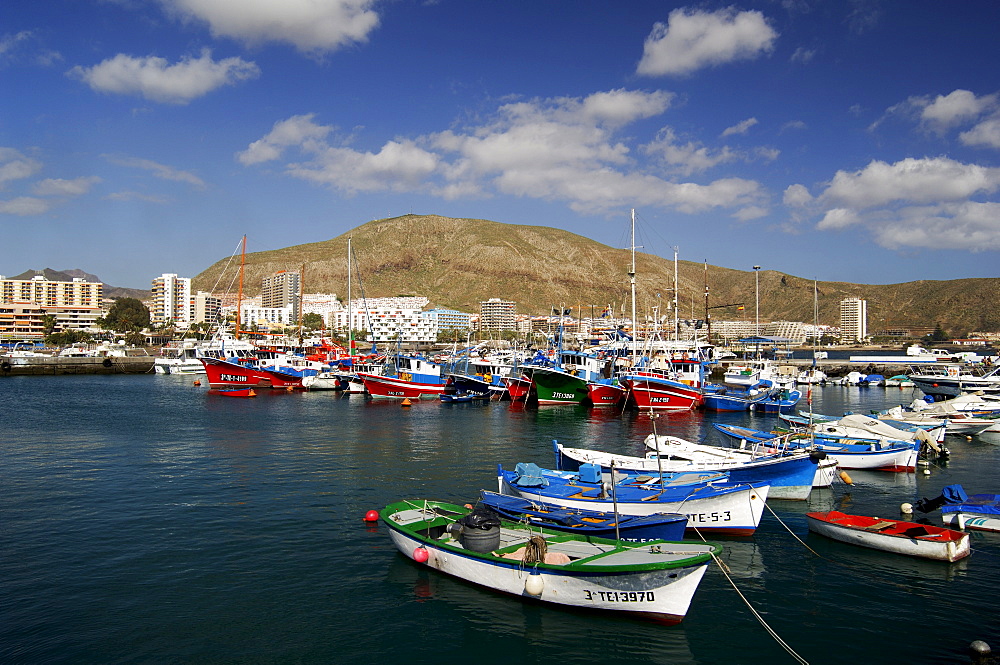 Los Cristianos, Tenerife, Canary Islands, Spain, Atlantic, Europe