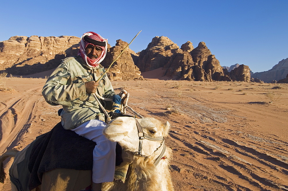 Bedouin on camel in the desert, Wadi Rum, Jordan, Middle East