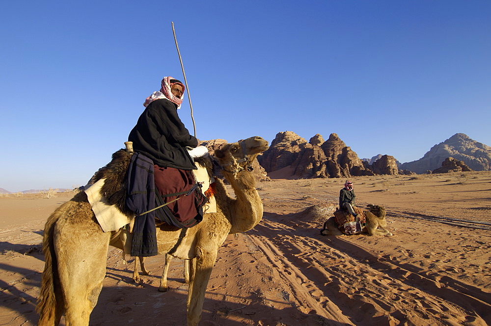 Bedouin on camels in the desert, Wadi Rum, Jordan, Middle East