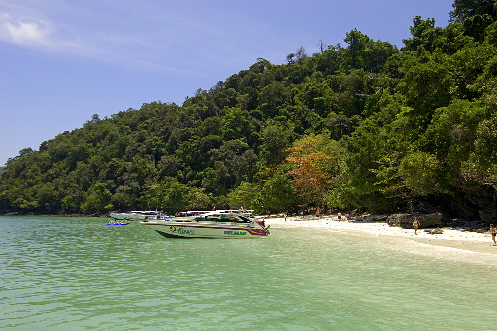 Yong Kasem beach, known as Monkey Beach, Phi Phi Don Island, Thailand, Southeast Asia, Asia