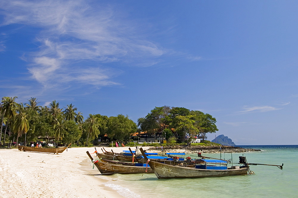 Laem Tong beach, Phi Phi Don Island, Thailand, Southeast Asia, Asia