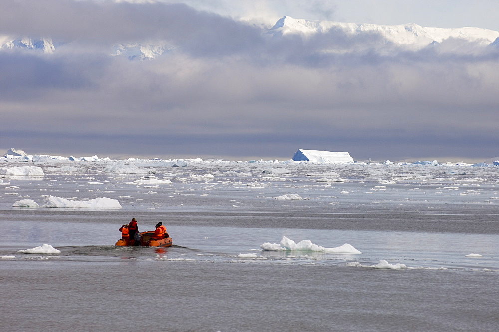 Neko Harbor, Gerlache Strait, Antarctic Peninsula, Antarctica, Polar Regions