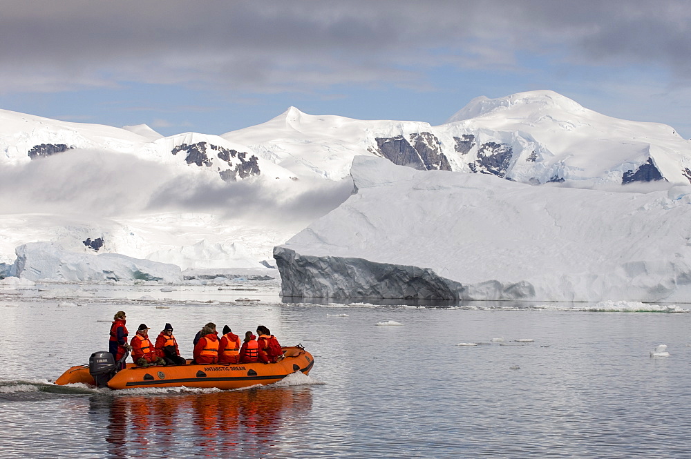 Neko Harbor, Gerlache Strait, Antarctic Peninsula, Antarctica, Polar Regions