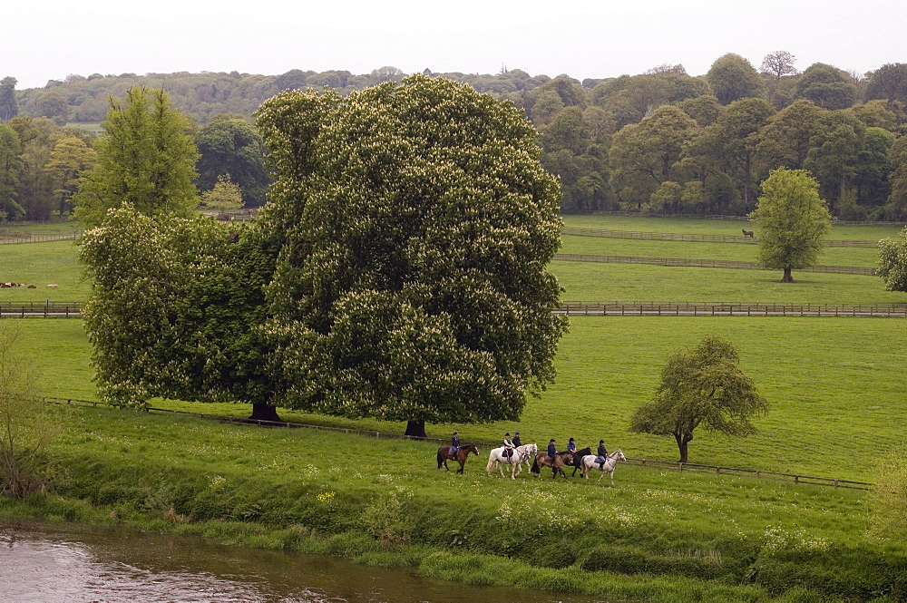 Mount Juliet Estate, Thomastown, County Kilkenny, Leinster, Republic of Ireland (Eire), Europe