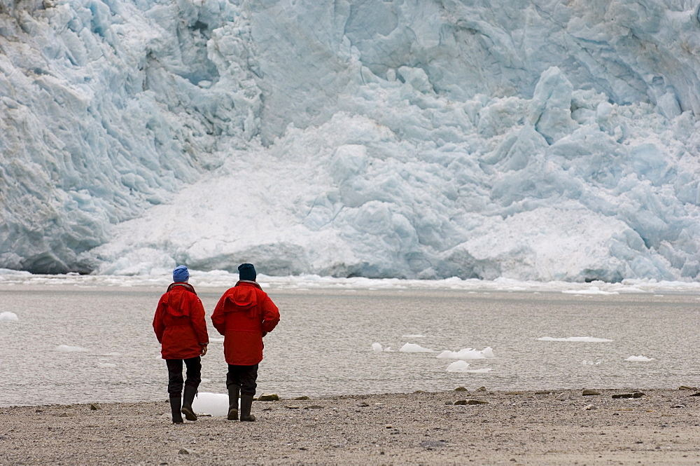 Pia Glacier, Beagle Channel, Darwin National Park, Tierra del Fuego, Patagonia, Chile, South America