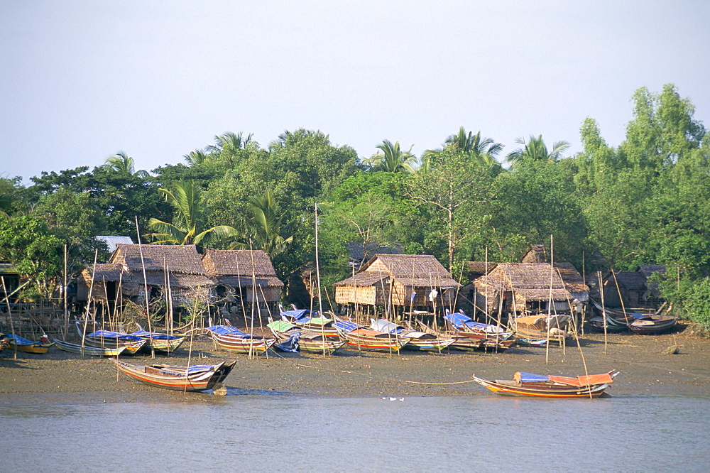 Ayeyarwaddy (Irrawaddy) river delta, Ayeyarwaddy Division, Myanmar (Burma), Asia