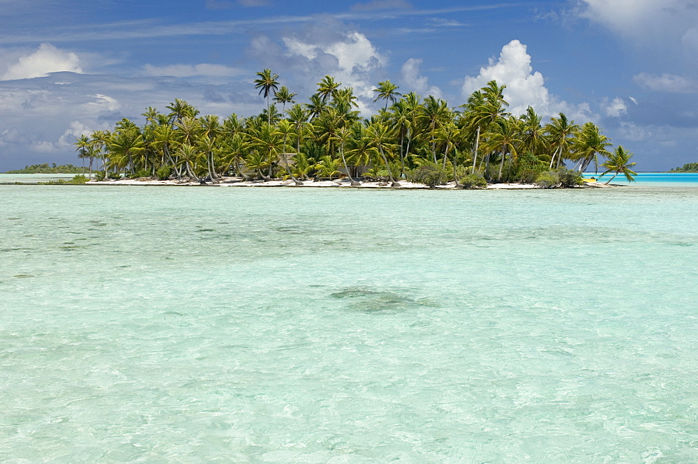 Blue Lagoon, Rangiroa, Tuamotu Archipelago, French Polynesia, Pacific Islands, Pacific