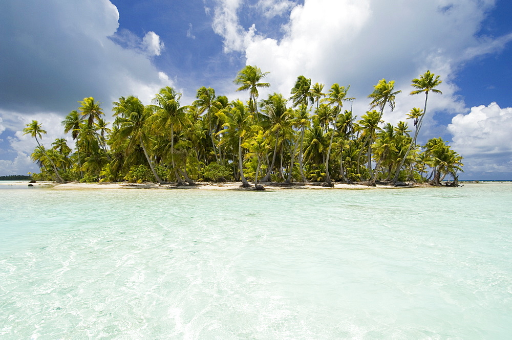 Blue Lagoon, Rangiroa, Tuamotu Archipelago, French Polynesia, Pacific Islands, Pacific