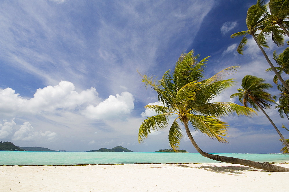 Bora-Bora, Leeward group, Society Islands, French Polynesia, Pacific Islands, Pacific