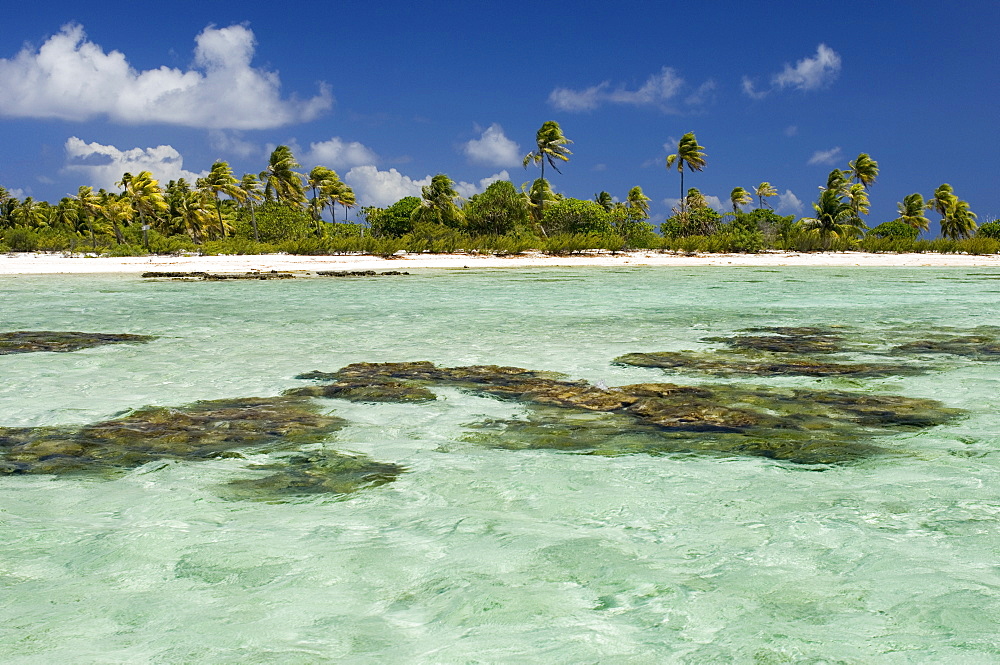 Tikehau, Tuamotu Archipelago, French Polynesia, Pacific Islands, Pacific