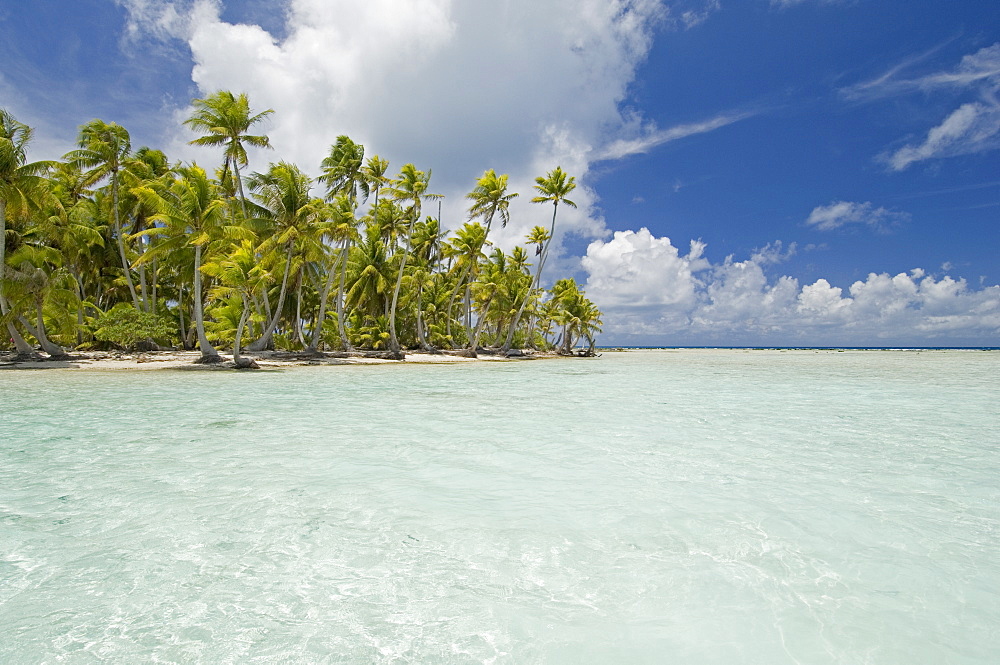 Blue Lagoon, Rangiroa, Tuamotu Archipelago, French Polynesia, Pacific Islands, Pacific