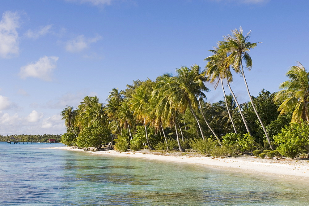 Fakarawa, Tuamotu Archipelago, French Polynesia, Pacific Islands, Pacific