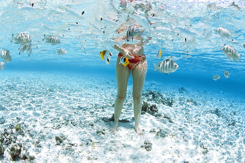 Tikehau, Tuamotu Archipelago, French Polynesia, Pacific Islands, Pacific