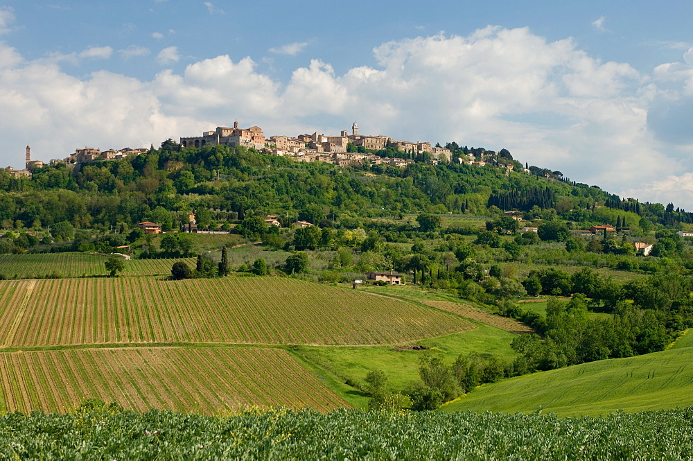 Montepulciano, Val d'Orcia, Siena province, Tuscany, Italy, Europe