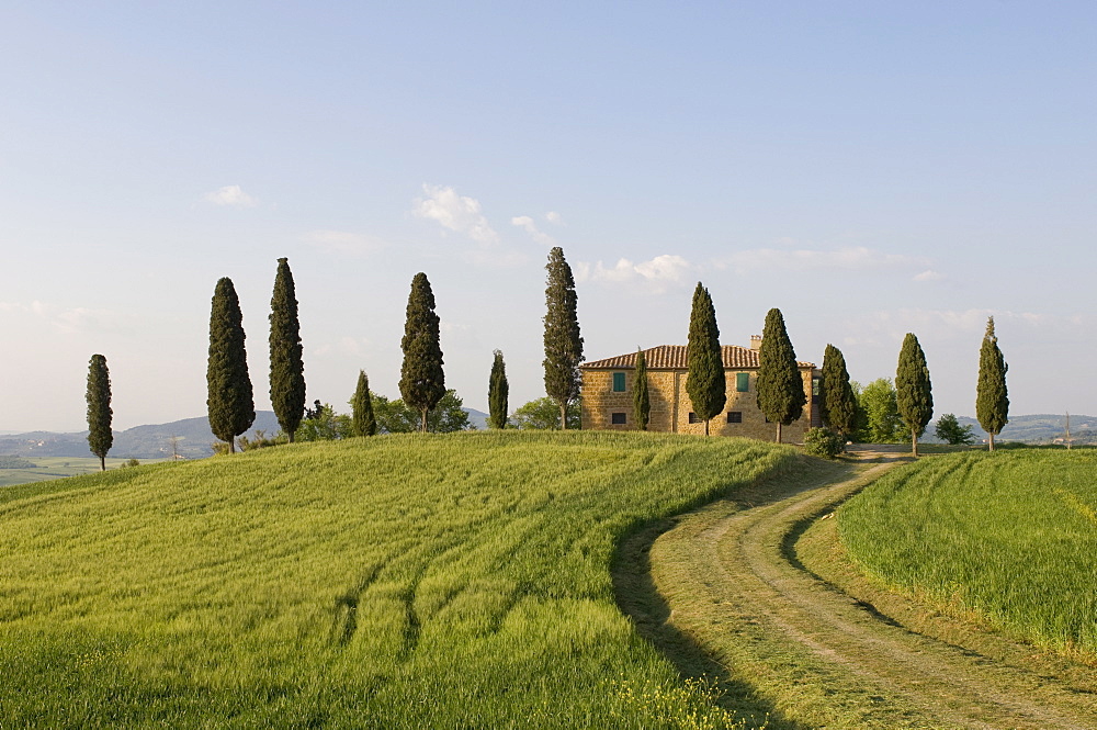 Pienza, Val d'Orcia, Siena province, Tuscany, Italy, Europe