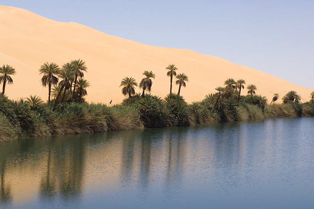 Umm El Ma lake, Erg Awbari, Sahara desert, Fezzan, Libya, North Africa, Africa