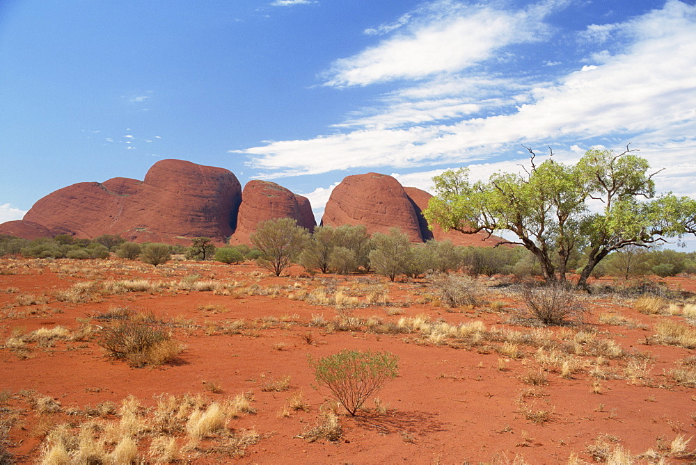 The Olgas, Uluru-Kata Tjuta National Park, UNESCO World Heritage Site, Northern Territory, Australia, Pacific