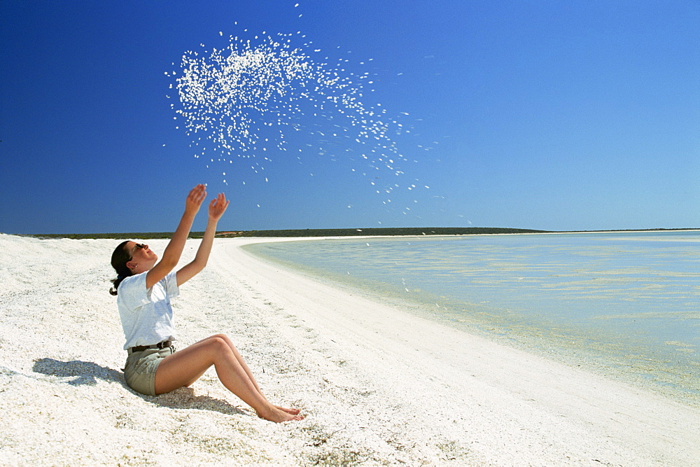 Shell Beach, Shark Bay, Western Australia, Australia, Pacific