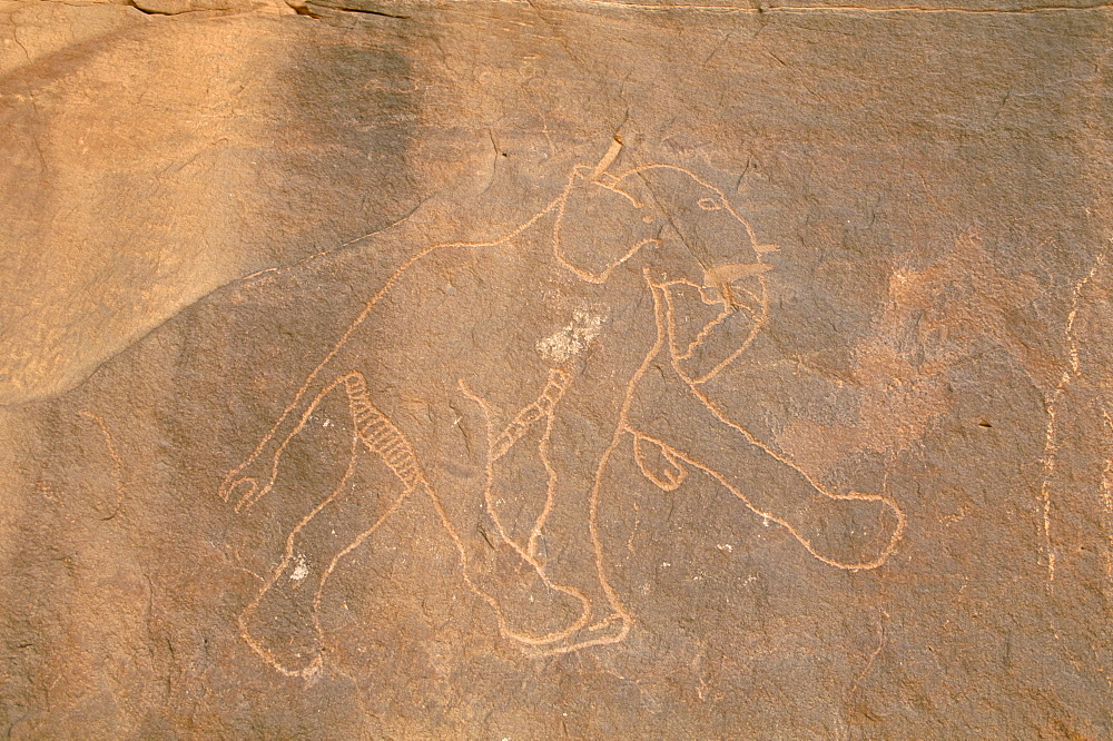 Elephant, primitive rock carving, Akakus, Sahara desert, Fezzan, Libya, North Africa, Africa